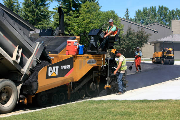 Best Driveway Pavers Near Me  in Beaumont, TX